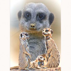 ZOO GREETING CARD A Meer Family